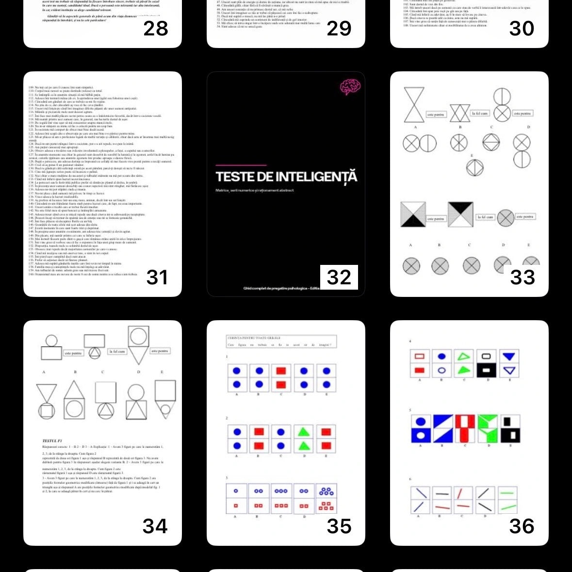Ghid complet de pregătire pentru testul psihologic – M.A.I/MAPN +SRI, SIE, ANP (PDF)